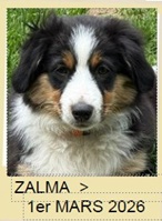 ZALMA