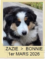 ZAZIE