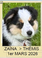 ZAÏNA